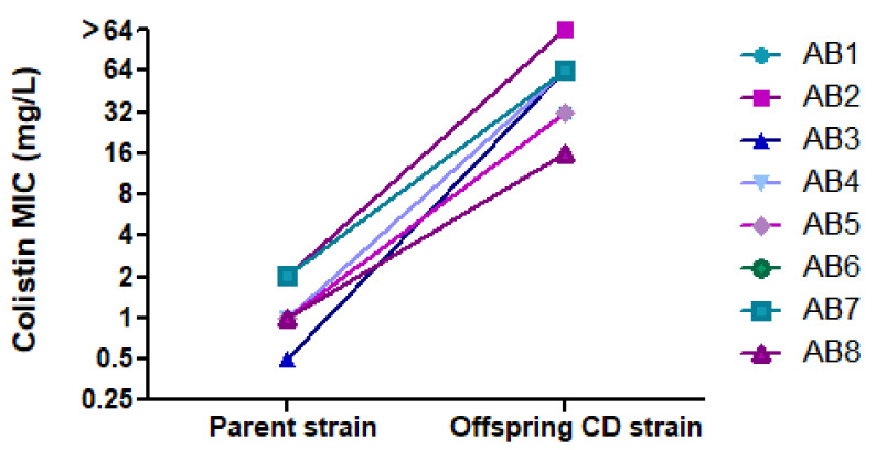 Colistin Dependency among Colistin-Heteroresistant Acinetobacter ...