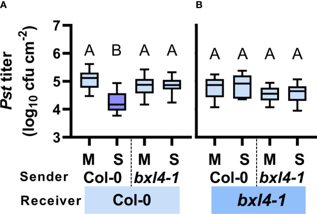 Figure 4