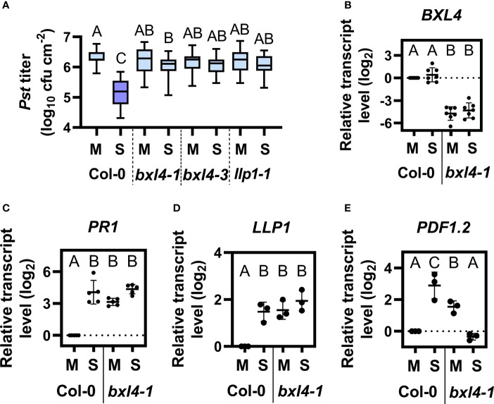 Figure 2