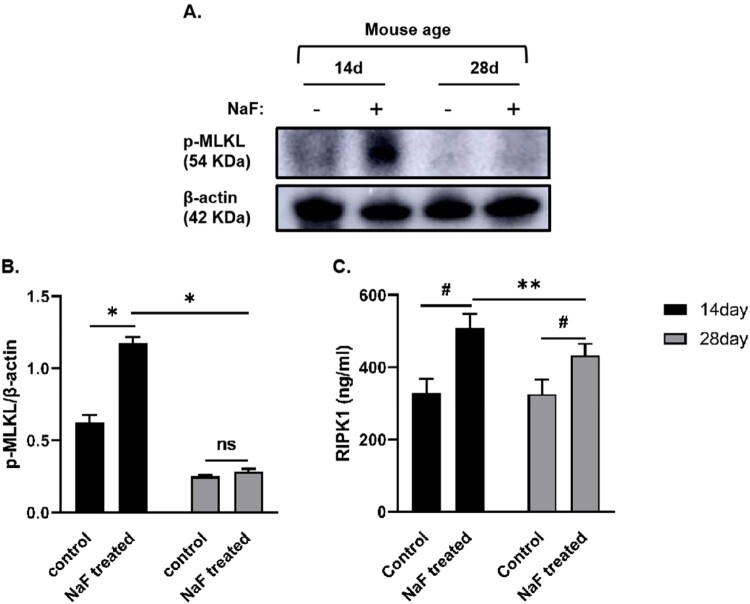 Figure 6.