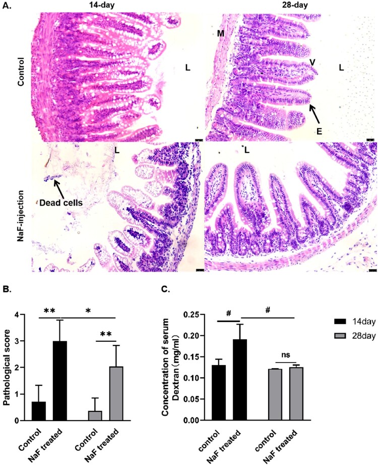 Figure 2.