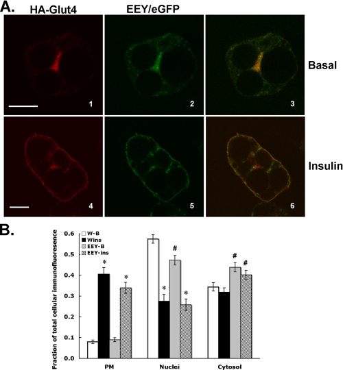 FIGURE 12.