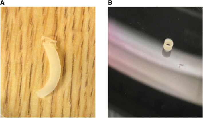 Figure 3: