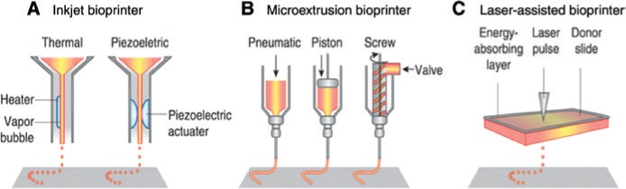 Figure 1: