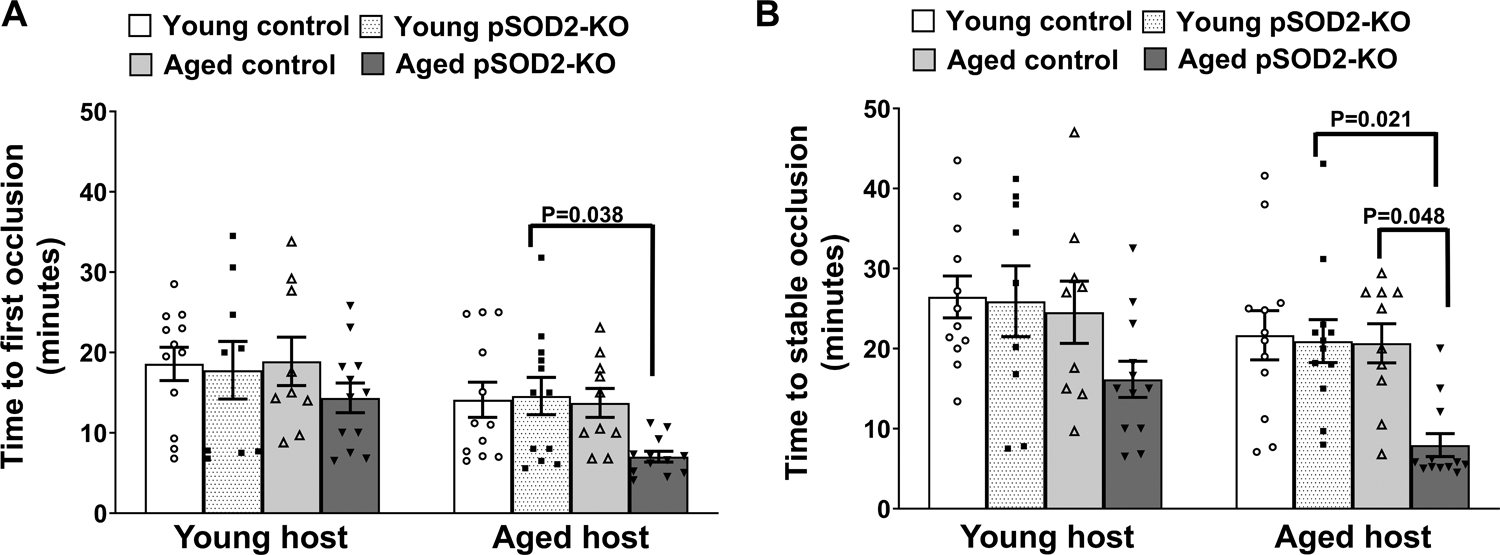 Figure 6: