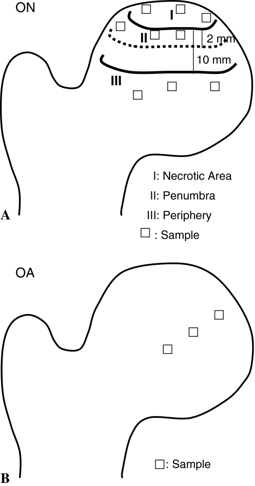 Fig. 3A–B