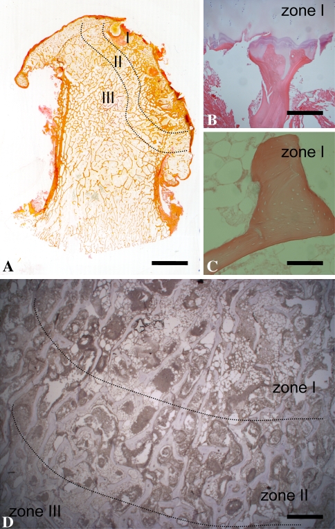 Fig. 2A–D