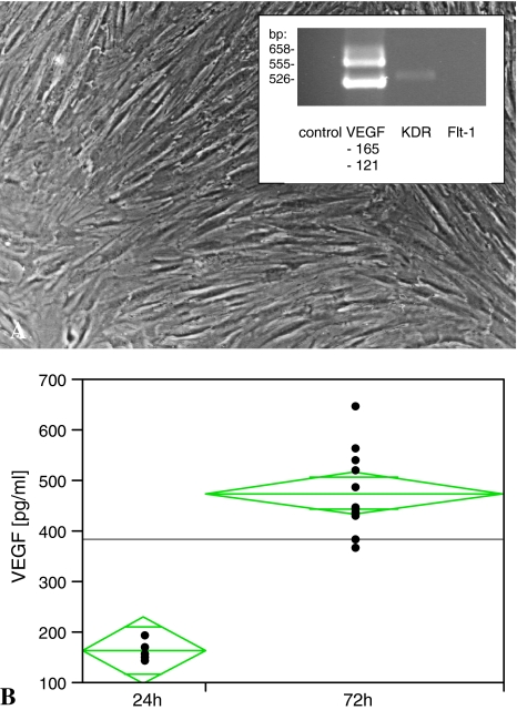 Fig. 6A–B