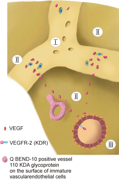 Fig. 8