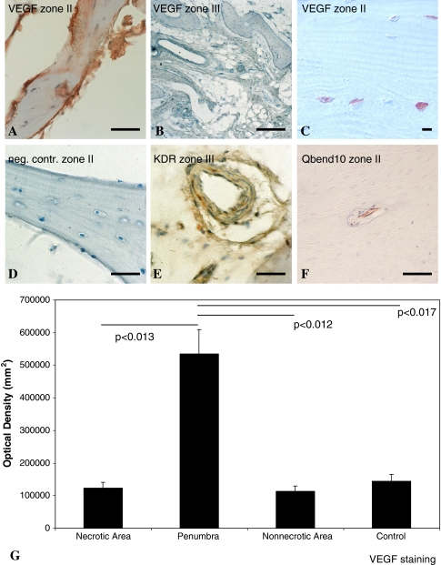 Fig. 4A–G