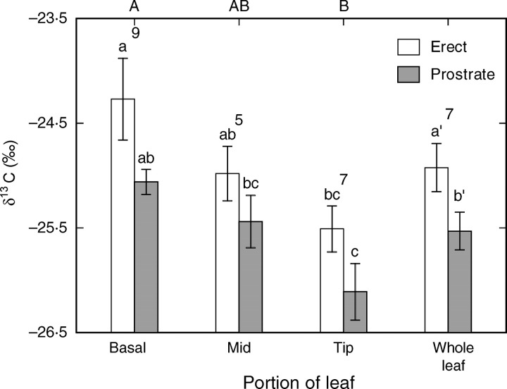 Fig. 6.