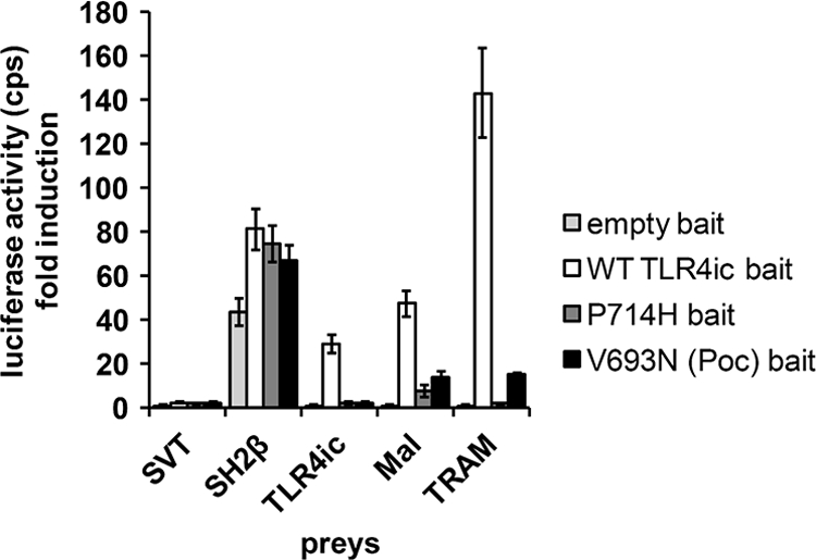 FIGURE 1.