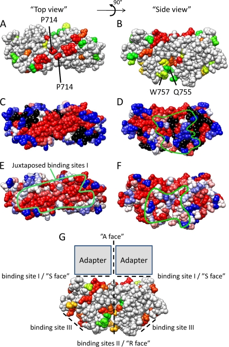 FIGURE 9.