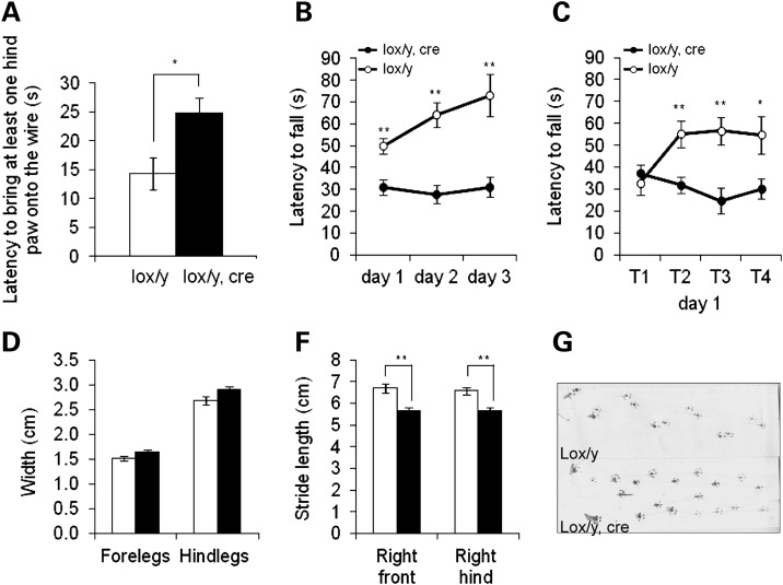 Figure 3.