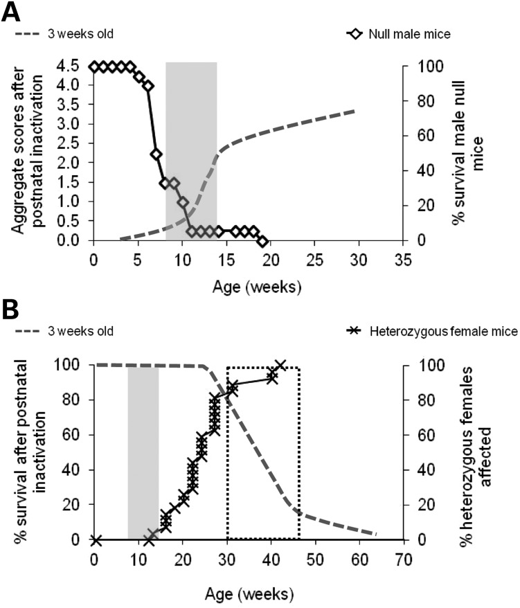 Figure 5.