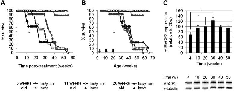 Figure 4.