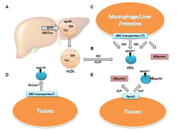 Key Figure 3