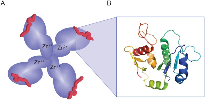 Fig 6