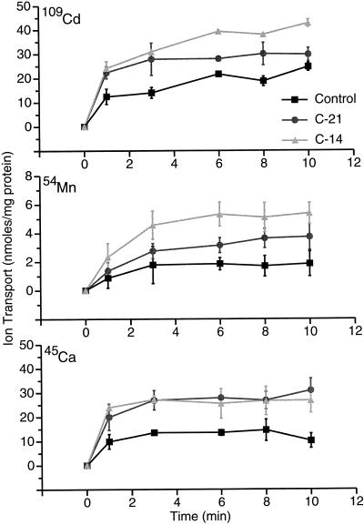 Figure 7