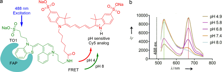 Fig. 11