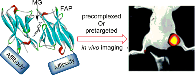 Fig. 13