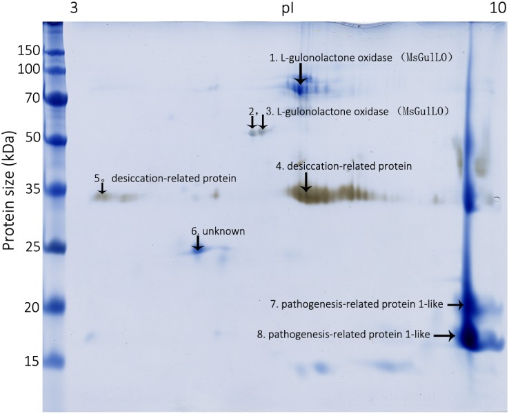 FIGURE 2