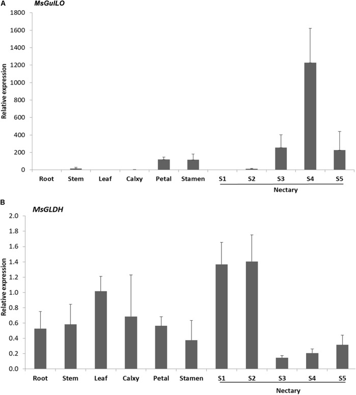 FIGURE 4