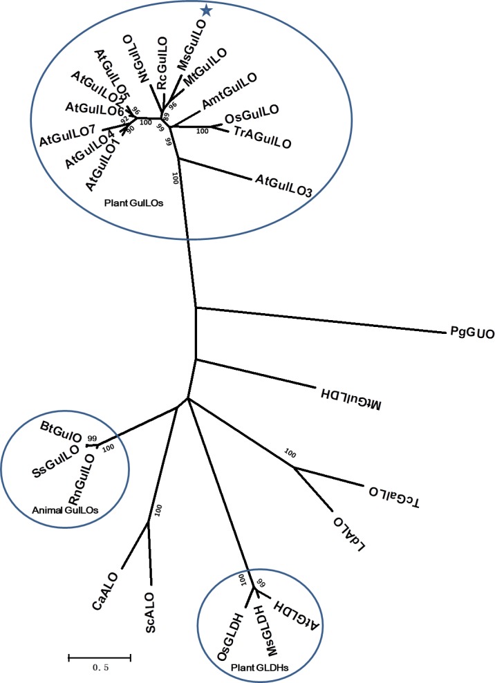 FIGURE 3