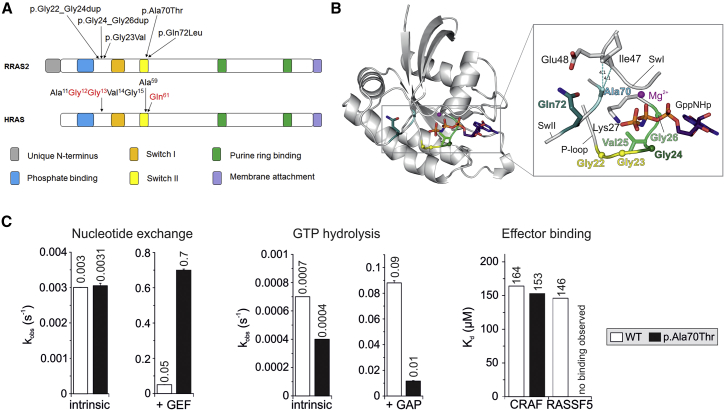 Figure 2