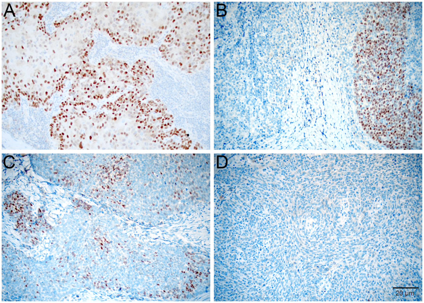 Figure 1: