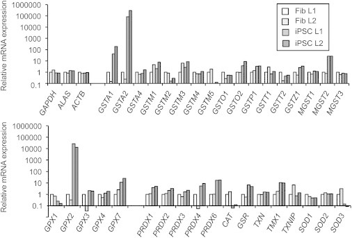 Figure 6