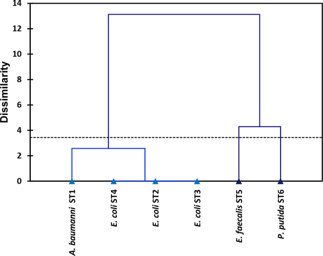 Fig. 6.