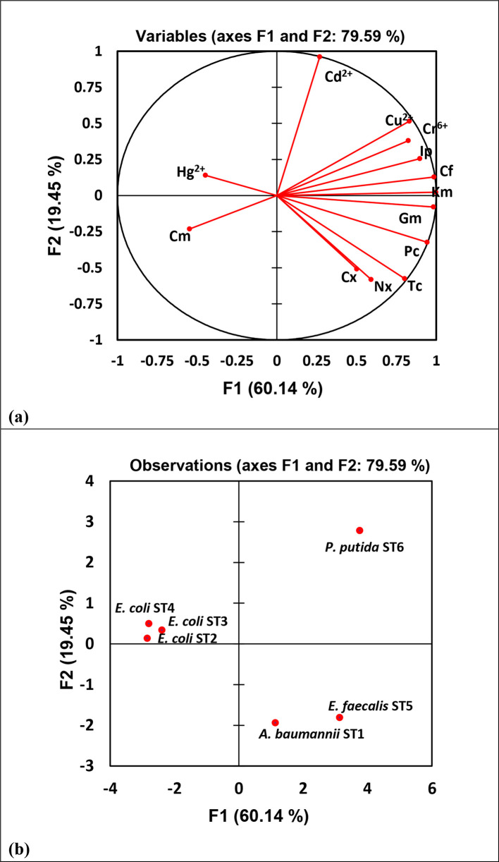 Fig. 5.