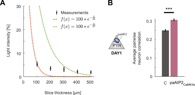 Figure 6—figure supplement 1.