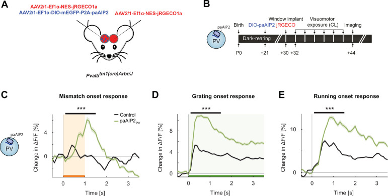 Figure 6—figure supplement 2.