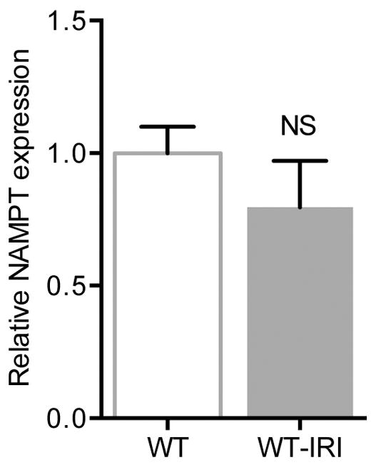 Extended Data Fig 10