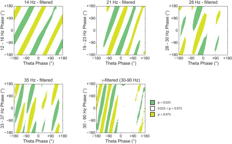 Figure 7—figure supplement 1.