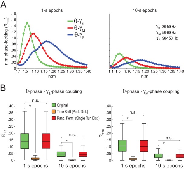 Figure 5—figure supplement 2.