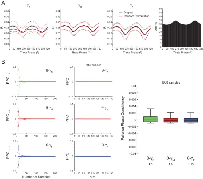 Figure 5—figure supplement 1.