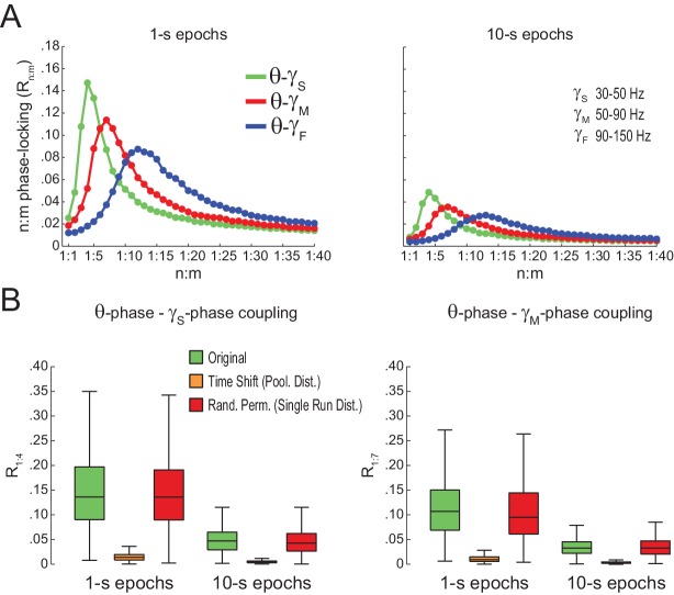 Figure 5—figure supplement 3.