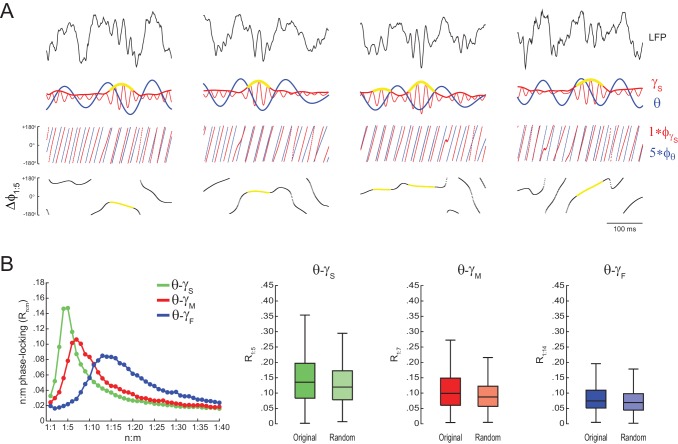 Figure 5—figure supplement 6.