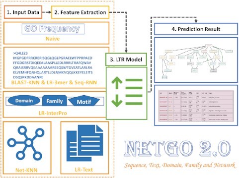 Graphical abstract