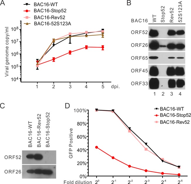 FIG 6