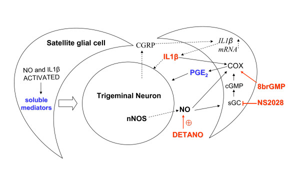 Figure 9