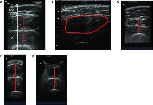 Figure 3.