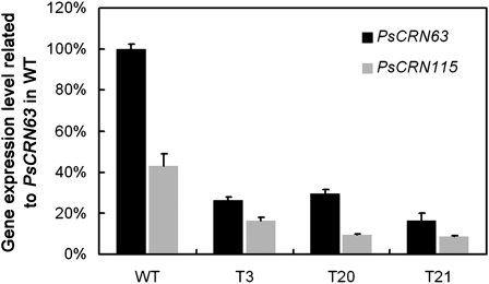 Figure 6.