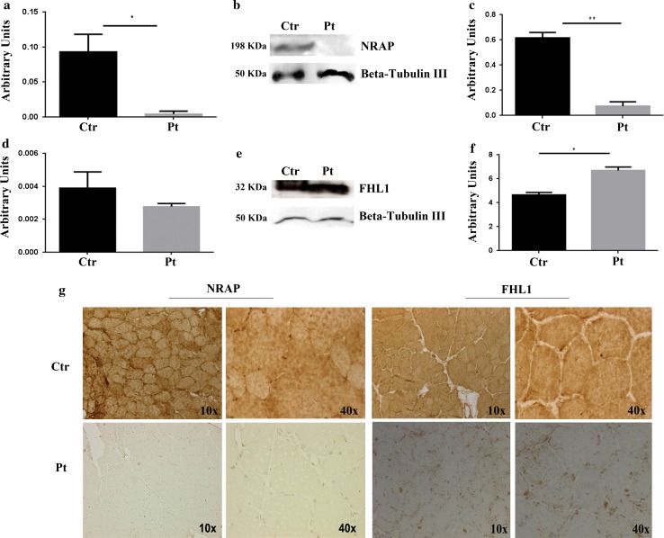 Fig. 4