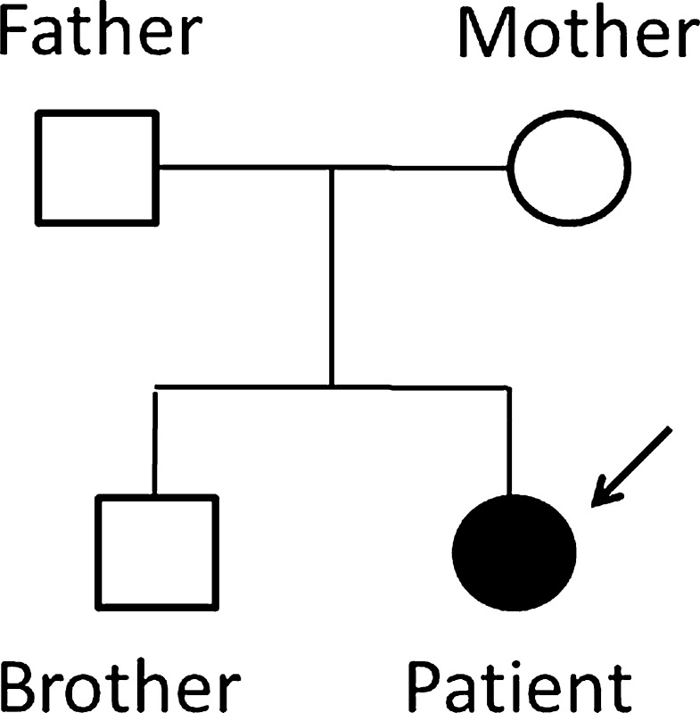 Fig. 1