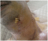 Figure 4: