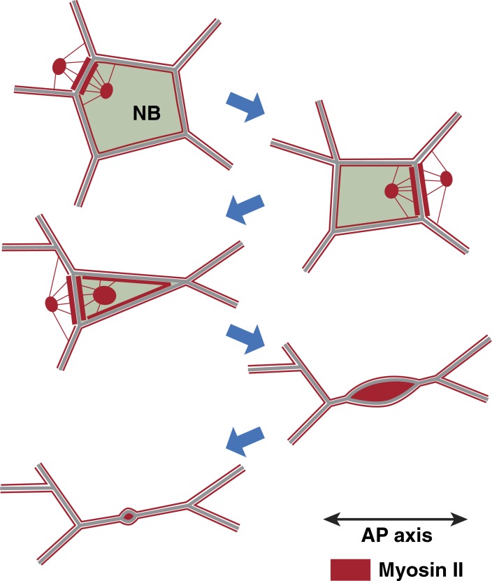 Figure 10.